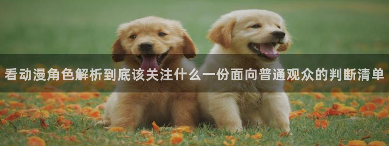 2026YY漫画排行:看动漫角色解析到底该关注什么一份面向普通观众的判断清单配图
