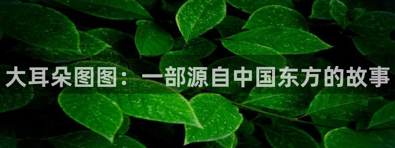 2026YY漫画推荐：大耳朵图图：一部源自中国东方的故事配图
