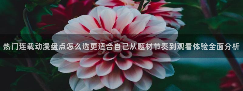 YY动作漫画:热门连载动漫盘点怎么选更适合自己从题材节奏到观看体验全面分析配图