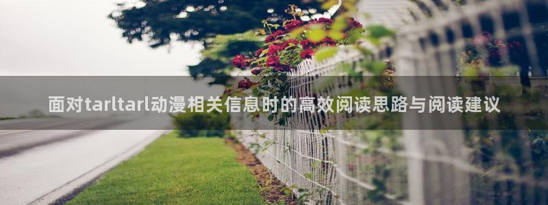 YY漫画高分漫画：面对tarltarl动漫相关信息时的高效阅读思路与阅读建议配图